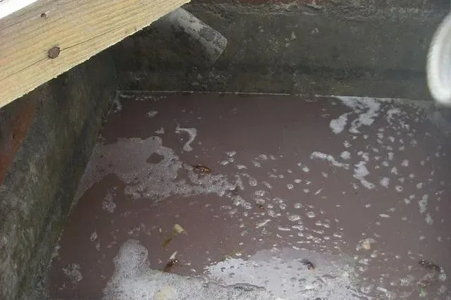 assainissement bac à graisse